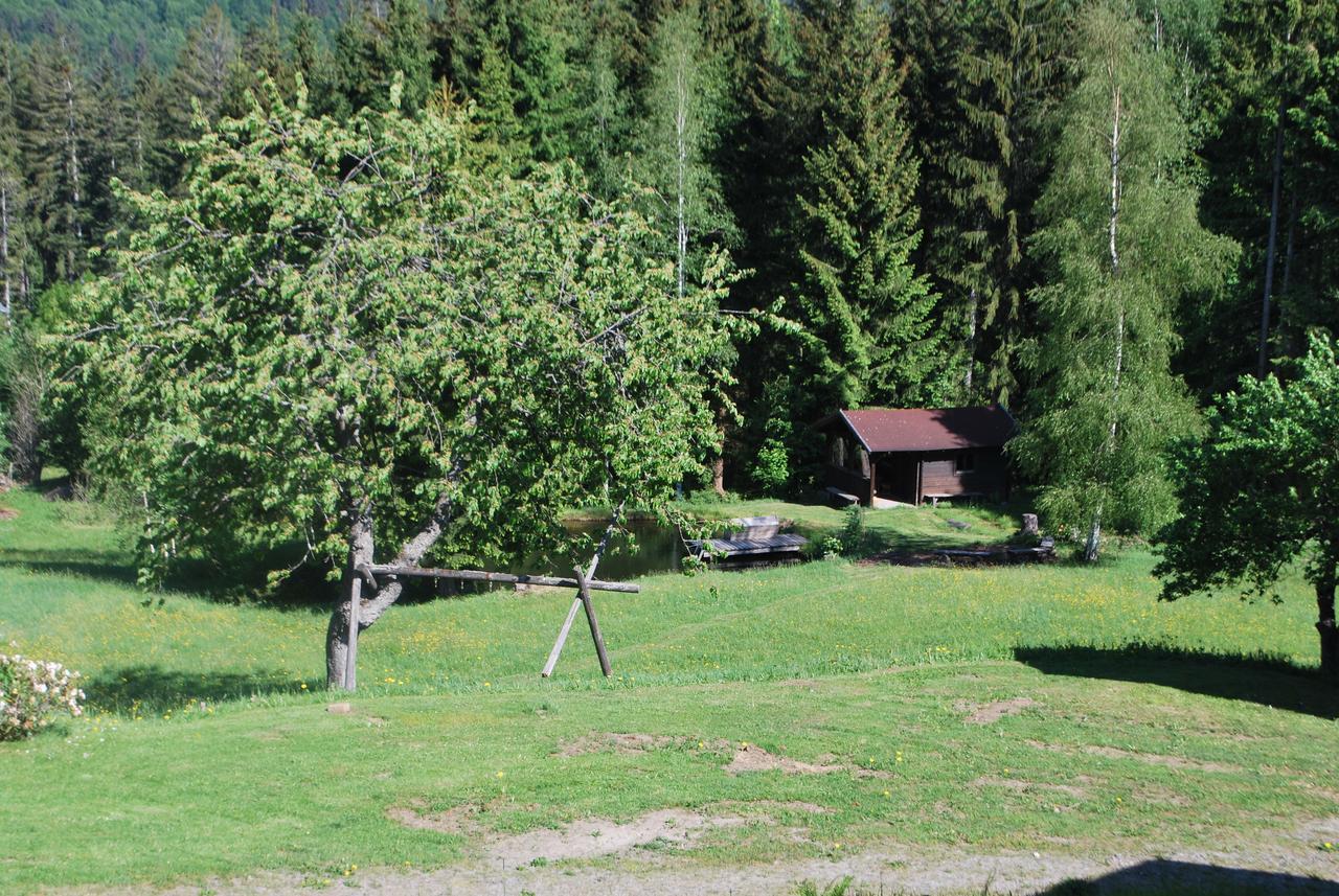 Ferienhaus Lisa´s Häusl Neuschönau Exterior foto